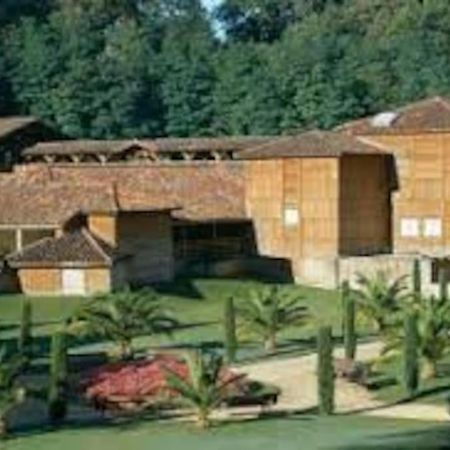 Maison Avec Piscine Proche Des Thermes Mauleon-D'armagnac Eksteriør billede