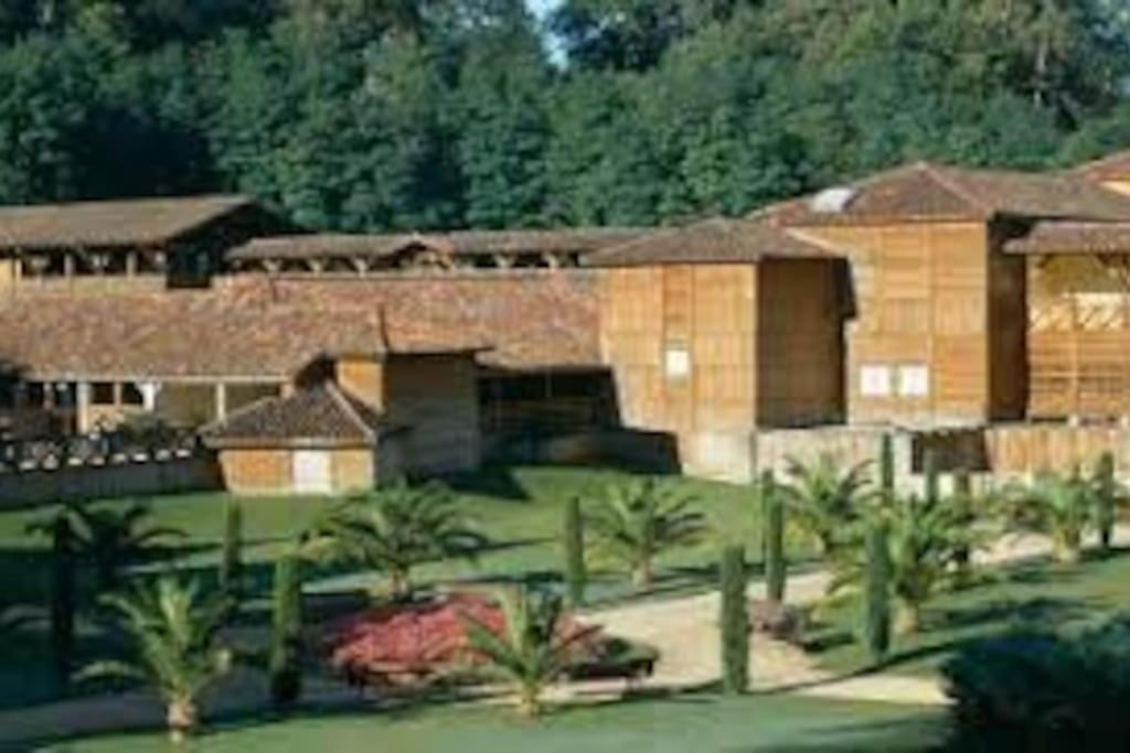 Maison Avec Piscine Proche Des Thermes Mauleon-D'armagnac Eksteriør billede